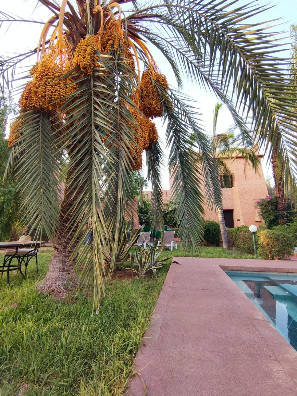 Riad Sheherazade Marrakech Marrakesh Bagian luar foto