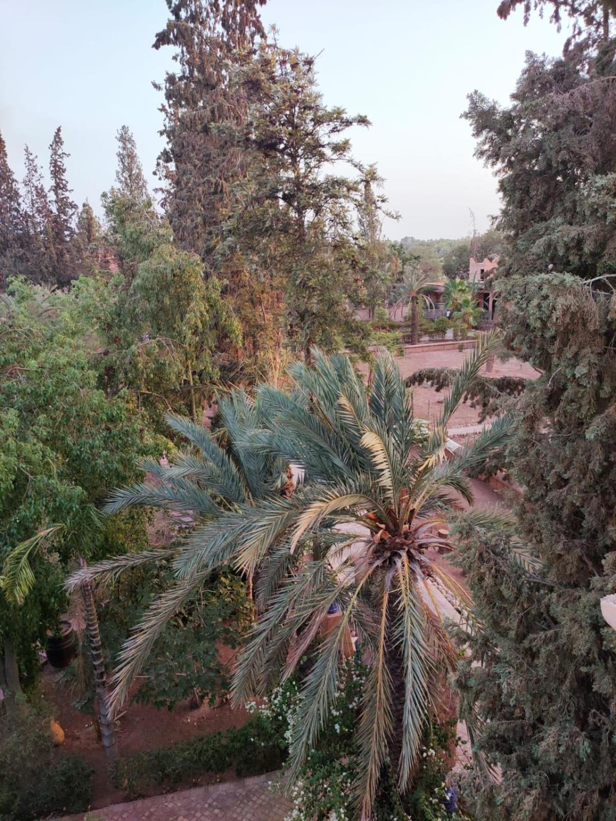 Riad Sheherazade Marrakech Marrakesh Bagian luar foto